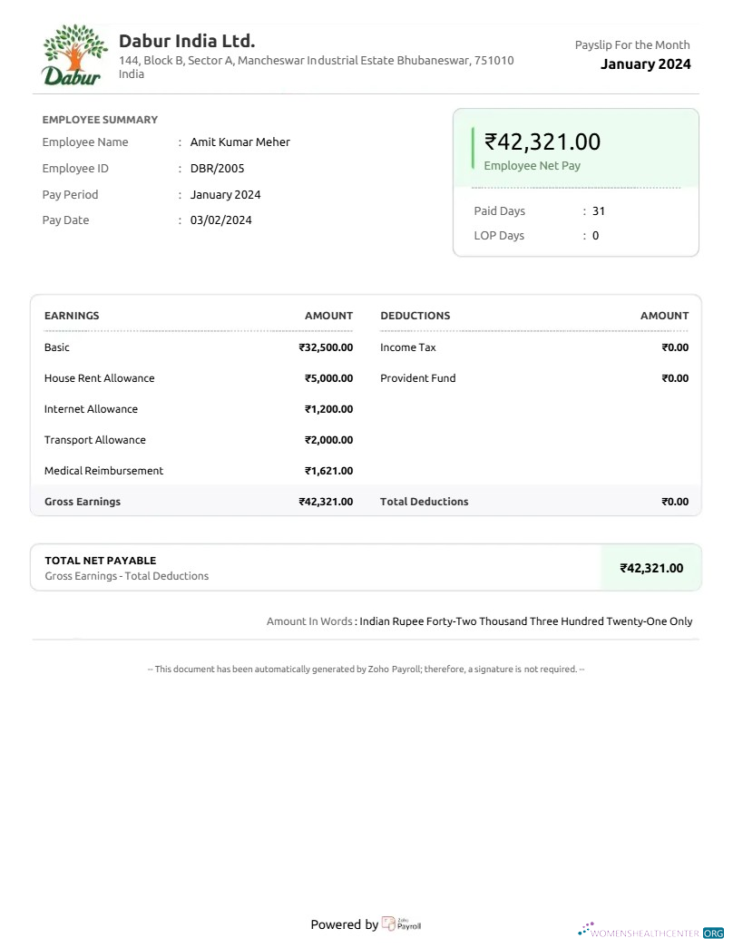 Download Dabur India goods company payslip template in Word and PDF formats.pdf, 1 Photoshop template